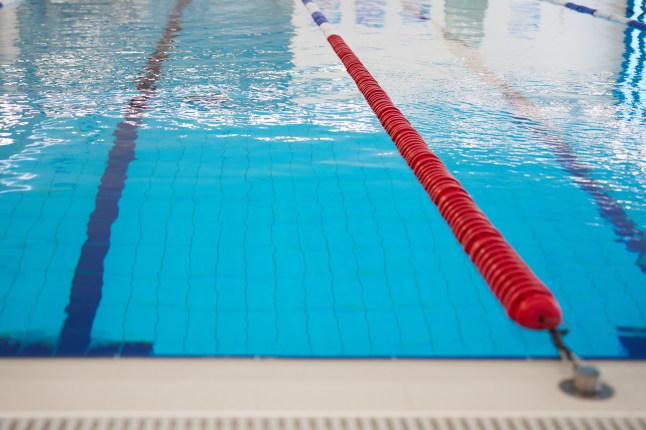 Empty swimming pool with lane divider