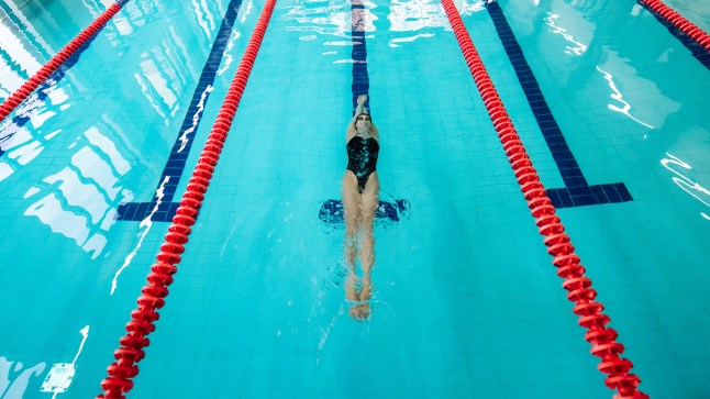 top view woman swims underwater in swimming pool on backstroke. sport concept